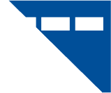 icon services